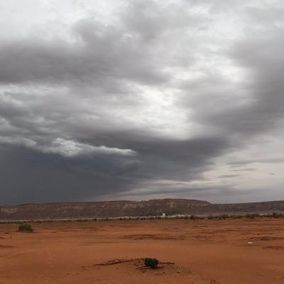 مغرد بجناح واحد اداري نشط اكره اعداء البيئه احب المطر اعشق الجبل