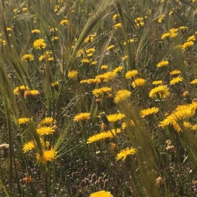 vRNevIfrvGDbmSD's profile picture. 