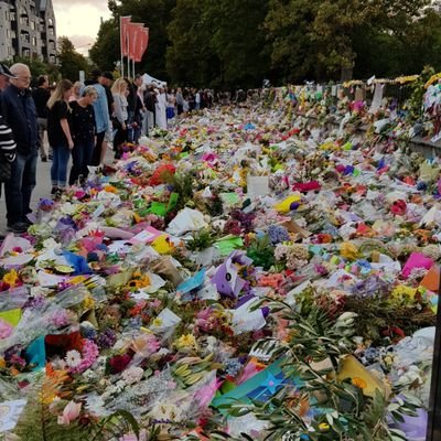 mahargbe's profile picture. Wrexham AFC 🏴󠁧󠁢󠁷󠁬󠁳󠁿 Lfc🇬🇧 All Blacks🇳🇿 Memphis Grizzlies 🇺🇸
love my sports