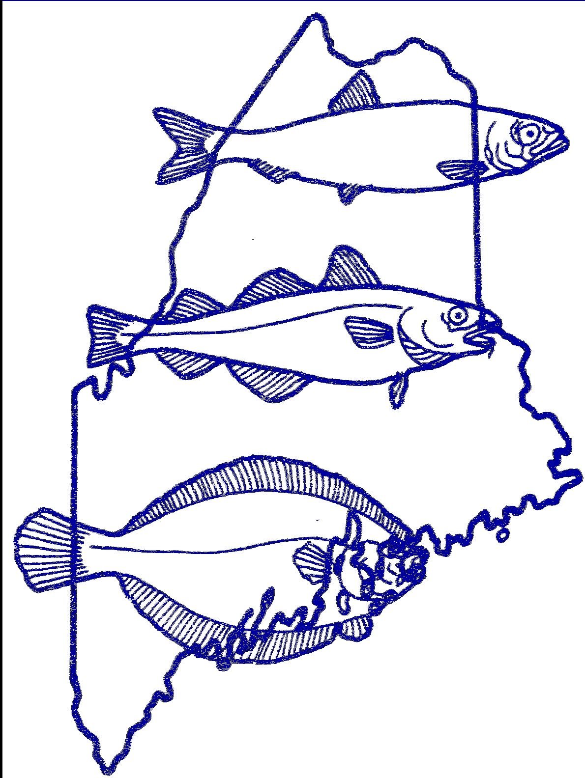 Fisheries ecology