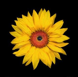 jdlogsdon's profile picture. 