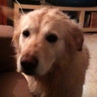 eldadi9's profile picture. 