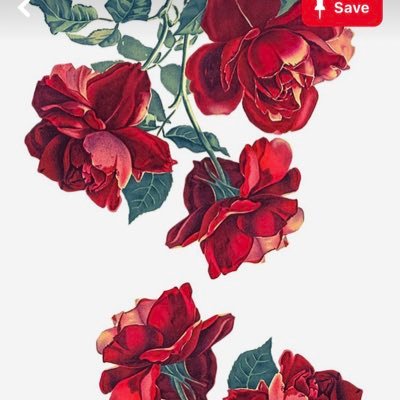 ImSoDeadAwake's profile picture. you’ll know when you’ve had enough.