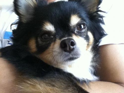 hrt_fu's profile picture. 一日一生がモットー。