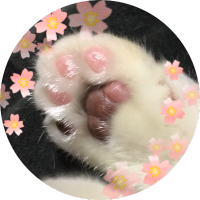 荒木 (@araki_m_1059) 's Twitter Profile Photo