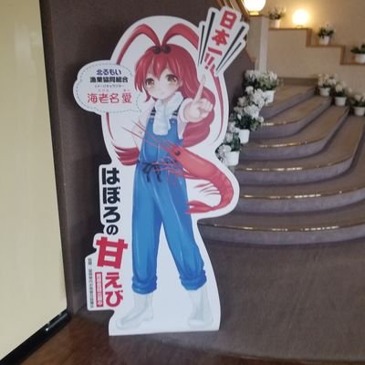 hakutaka17's profile picture. 北柚涼ゆずらー。ミュージック&温泉&グルメ&富士急が好き。テレビよりもラジオ好き。ハイデッカーバス派。乗る方&一人旅好き。旅人。海が綺麗なところ&広い大地派。ラジオ派。好きな炭酸はキリンレモン、コーラ、リボンナポリン、リボンシトロン。