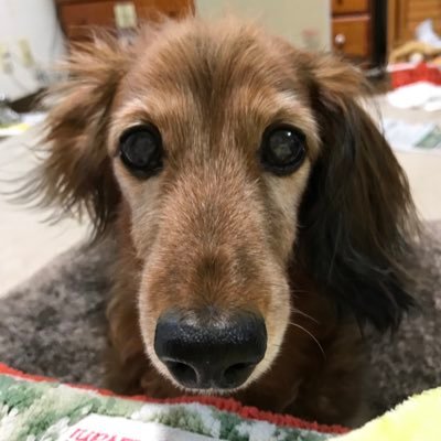 03rxO89yrDUQuFt's profile picture. 