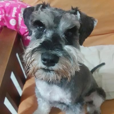 mceles10's profile picture. 