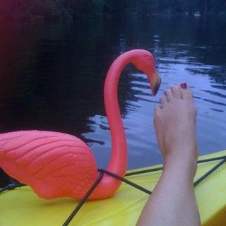 ShannonGuse's profile picture. mom, wife, youth worker. Currently reading Outside the Lines, Pineapple Street, and When You See Me