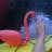 ShannonGuse's profile image