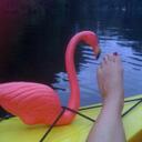 Shannon Guse - @ShannonGuse - Twitter