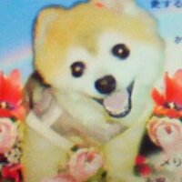 めりー(@lovemerrylove) 's Twitter Profile Photo