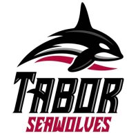 Tabor Boys Hockey (@taborpuck) Twitter profile photo