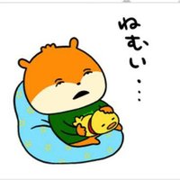 後期研修医ひよこ (@piyoco_hiyoco) 's Twitter Profile