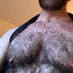Hairy Top Vers (@maschairybud) Twitter profile photo Hairy Top Vers (@maschairybud) Twitter profile photo