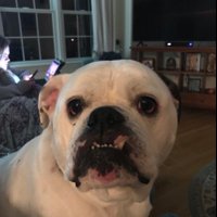 Jimbo (@jimbo48325511) Twitter profile photo