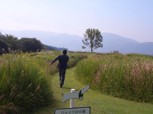 bitterdreams's profile picture. 