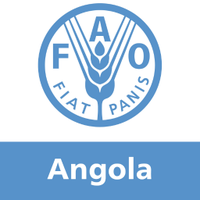FAO Angola(@FAOAngola) 's Twitter Profile Photo