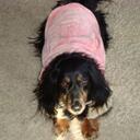 Andrea Olson Shellen - @AndreaOlsonShel - Twitter