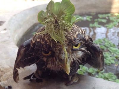 biochem92133366's profile picture. 