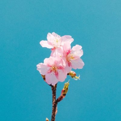 美徳シグナリングに反吐が出そう。Surviving days by the skin of my teeth. Not many people are artists, but everybody is a fucking critic. I’m pretty fucking far from okay.