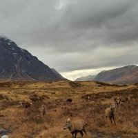 anna macdonald (@macdmiss) 's Twitter Profile Photo anna macdonald (@macdmiss) 's Twitter Profile Photo