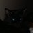 DHilchie's profile image