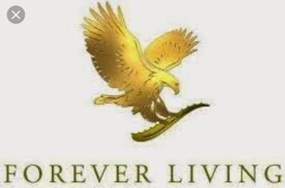 OEaH1CFa4uegtXe's profile picture. 