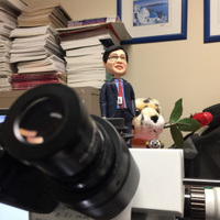 Henry YANG (@henryy_md) 's Twitter Profile Photo Henry YANG (@henryy_md) 's Twitter Profile Photo