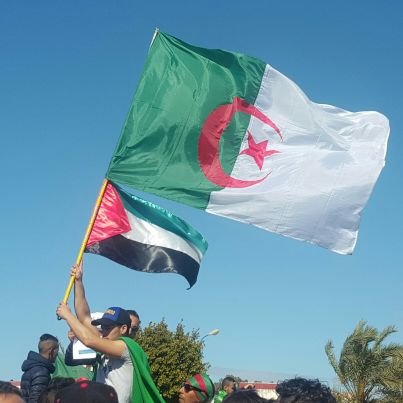 farid23862's profile picture. fridex