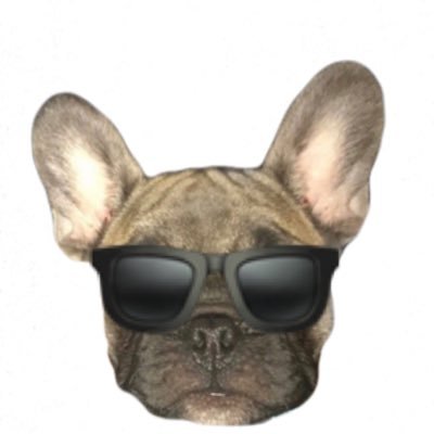 #frenchbulldog