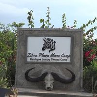Zebra Plains Mara Camp(@zebraplainsmara) 's Twitter Profile Photo