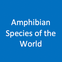 Amphibian Species of the World (AMNH)(@AmphSpecWorld) 's Twitter Profile Photo