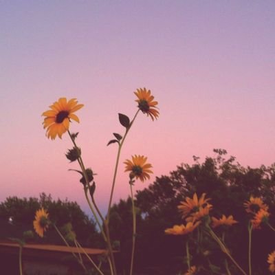 derval_x's profile picture. ♡