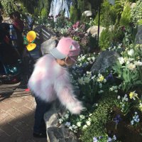 Jacquie G (@jacquiblu76) 's Twitter Profile
