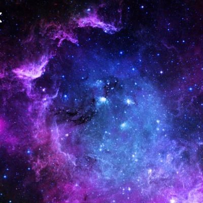 alifestory4's profile picture. 🌸artist🌸