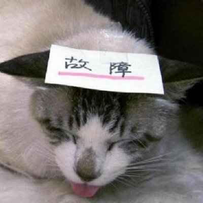 やまねこ♡ 他の方はいいね、コメントご遠慮くださいね。 シロネコヤマト (@shironeko_ymt) / X