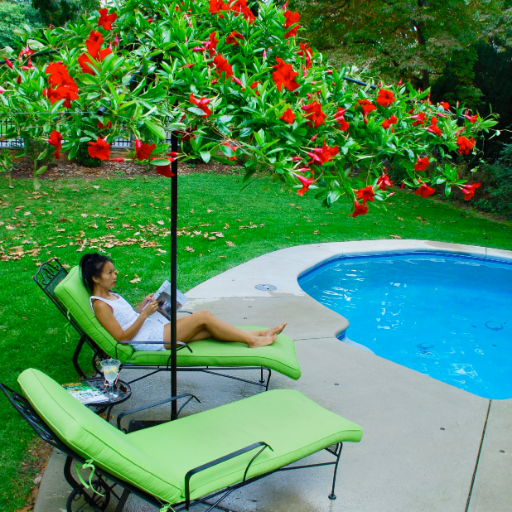 Plants in high places (Living Umbrellas) and the spaces in between for some happy living.