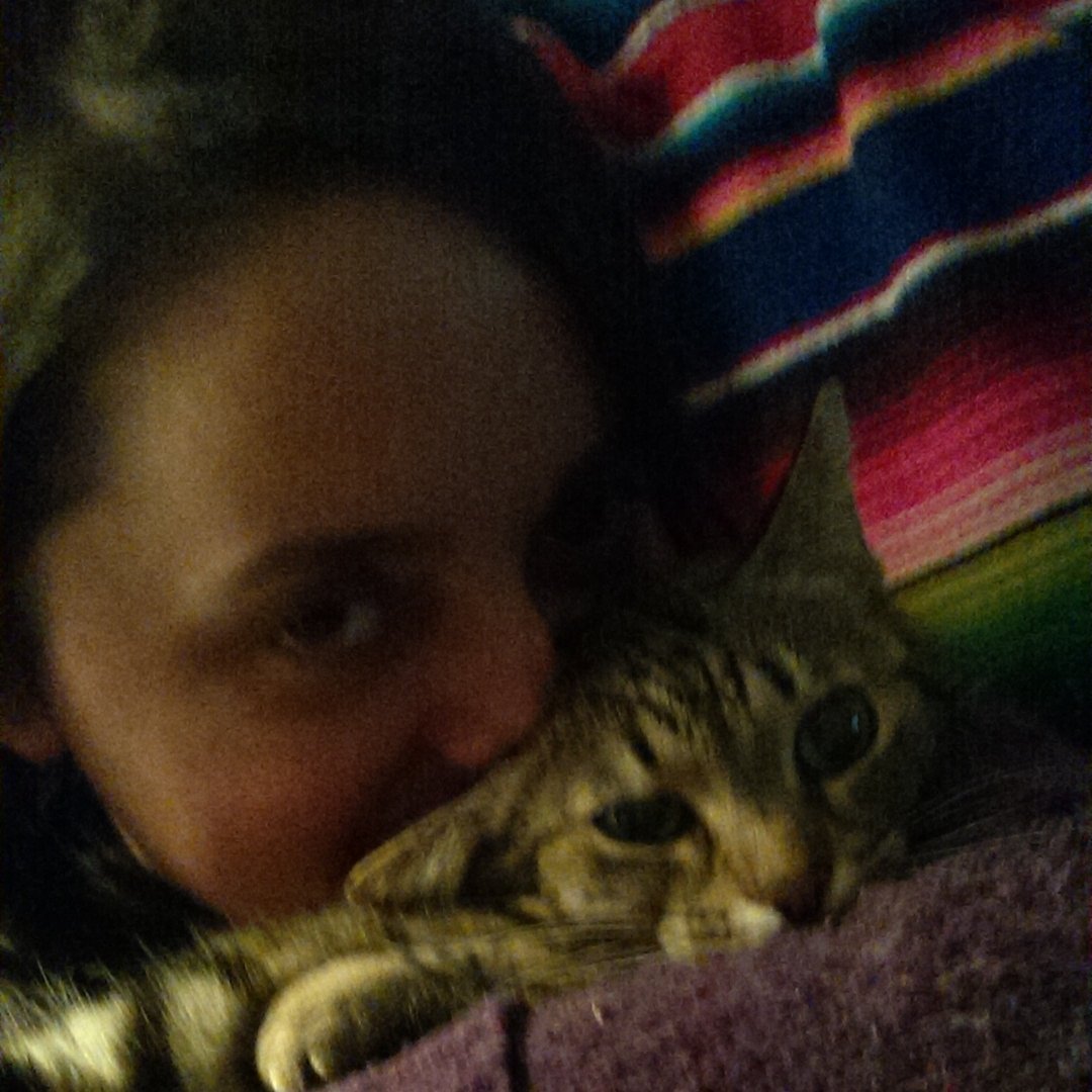 ninilulu's profile picture. 