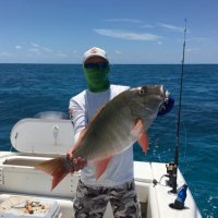 Duane Cyr (@duanecyr44) 's Twitter Profile