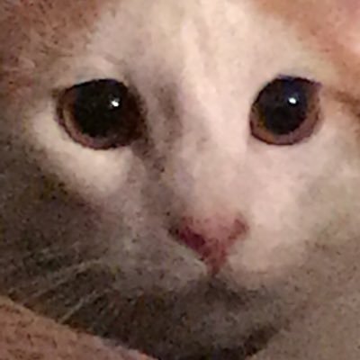 TheDovahkiin24's profile picture. ¯\_(ツ)_/¯