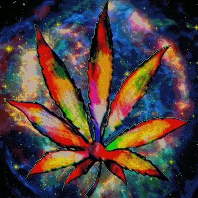 marijuana_mom Profile Picture