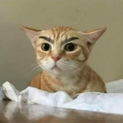 11003819972z's profile picture. Struggler.