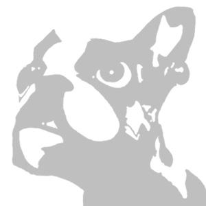 pigdogdesigns's profile picture. Photographer and Designer in Victoria BC.