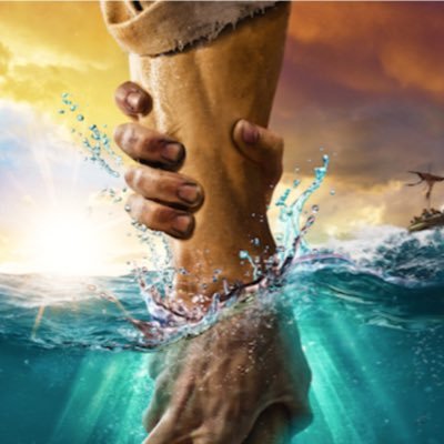 mbforwood's profile picture. 