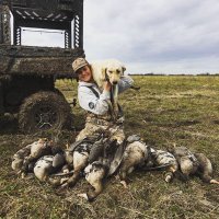 Wiley Halamicek (@halamicekwiley) 's Twitter Profile