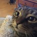 Albert Smith (@kiwinewf) Twitter profile photo Albert Smith (@kiwinewf) Twitter profile photo