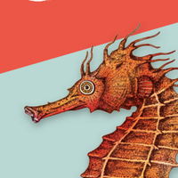 Sea & Vines (@seaandvines) 's Twitter Profile Photo