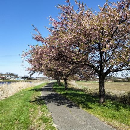 hirugunomo's profile picture. 内装屋の長男坊。1976（昭和51）年生まれのオッサンです。見る専門。たまに呟きます。