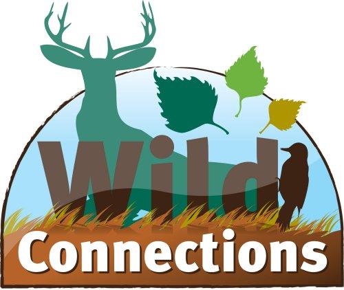 wildconnections's profile picture. A unique wildlife festival in Highland Perthshire, at the heart of Big Tree Country. 8th - 16th October 2011.